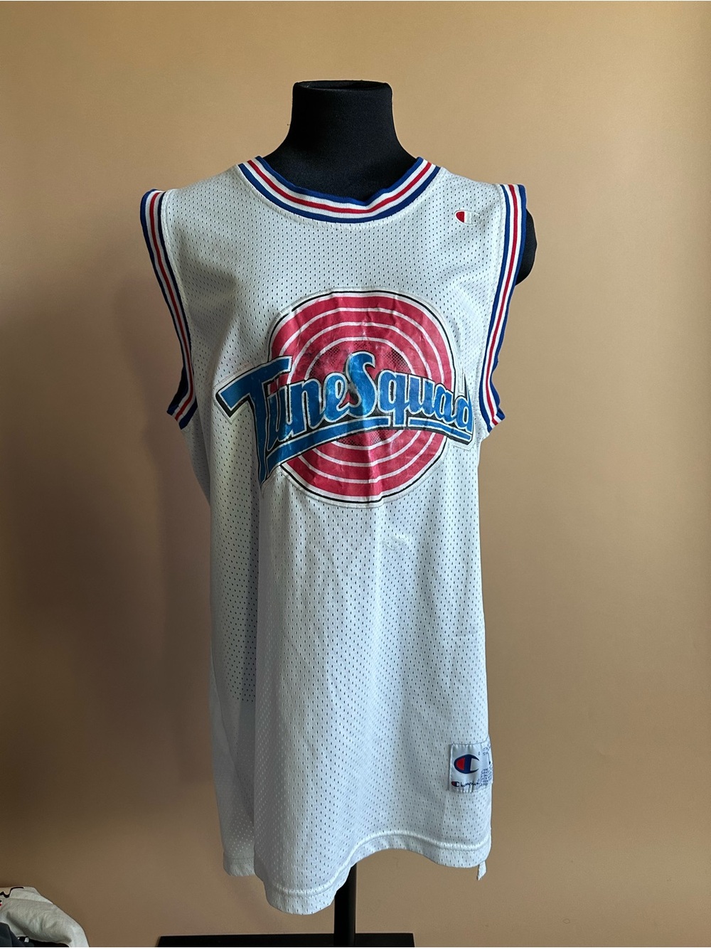 Vintage 1996 Champion Tune Squad Space Jam Michael Jordan #23 Jersey Size Large